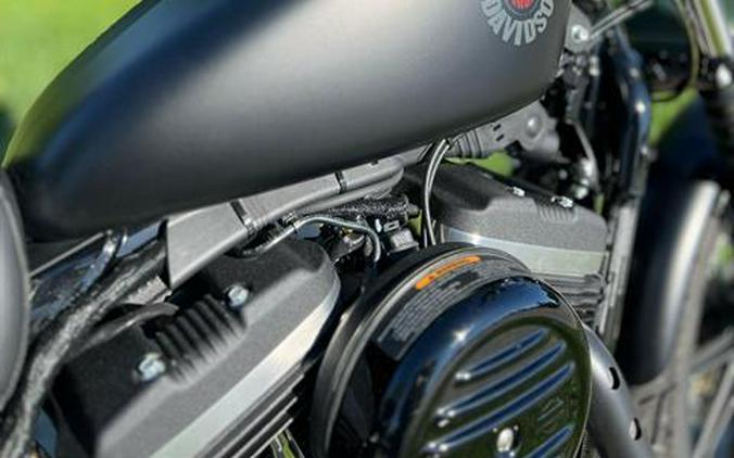 2022 Harley-Davidson Iron 883™