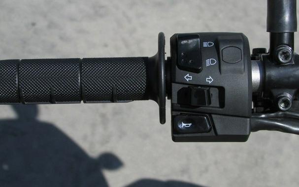 2025 Kawasaki KLX230 S