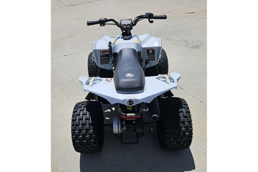 2025 Can-Am Renegade 110 EFI