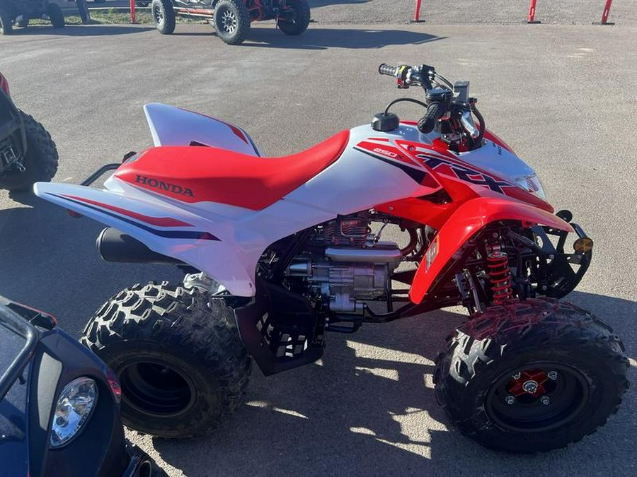 2024 Honda® TRX250X