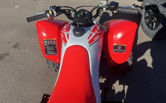 2024 Honda® TRX250X