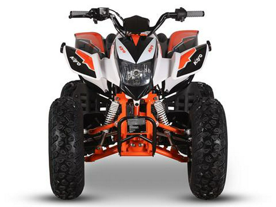 2025 Kayo Storm 150 EFI