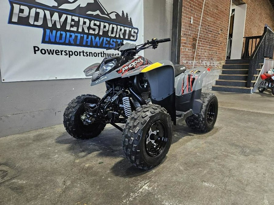 2024 Polaris Phoenix 200 200 - AVALANCHE GRAY