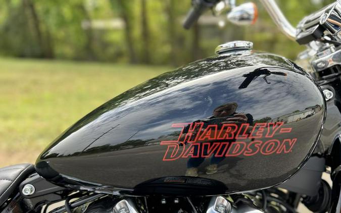 2024 Harley-Davidson® FXST - Softail® Standard