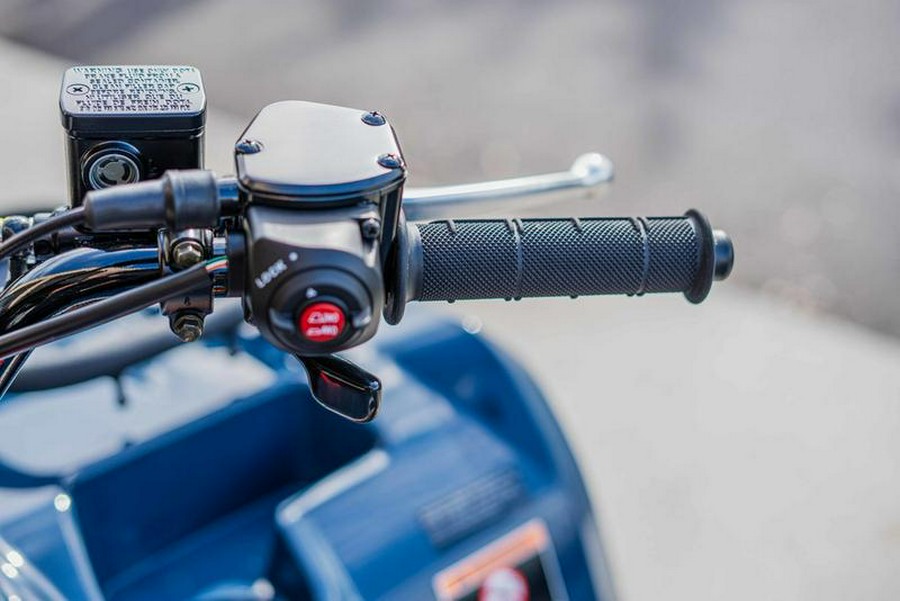 2025 Kawasaki Brute Force® 450 4x4