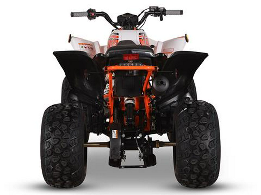 2025 Kayo Storm 150 EFI