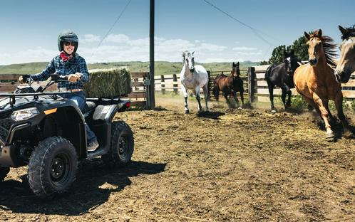 2026 CFMOTO CForce 400