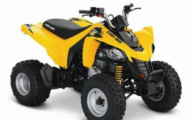 2013 Can-Am DS 250®