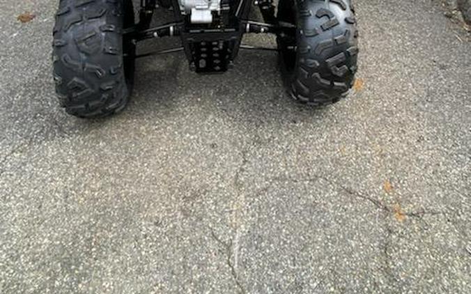 2024 Polaris RZR 200 EFI