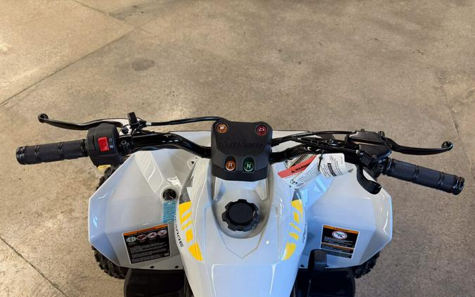 2026 Can-Am Renegade 110 EFI