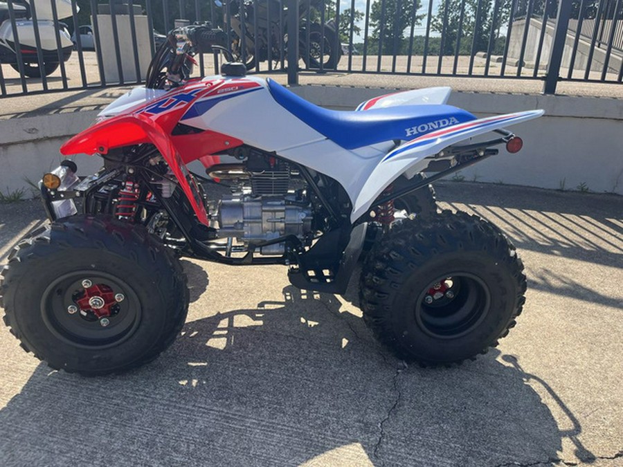 2026 Honda TRX 250X