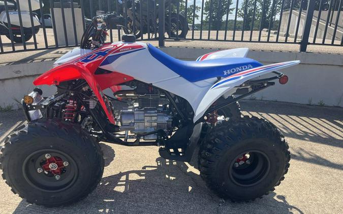 2026 Honda TRX 250X