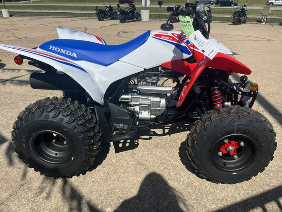 2026 Honda TRX 250X