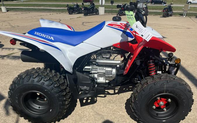 2026 Honda TRX 250X