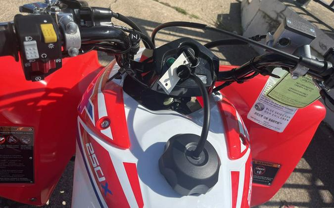 2026 Honda TRX 250X