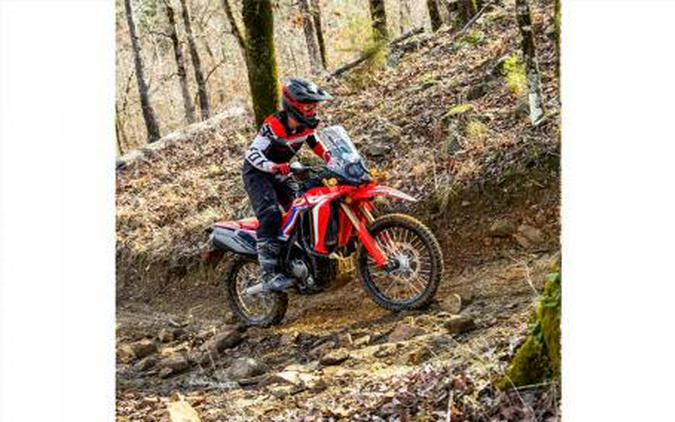 2024 Honda CRF300L Rally