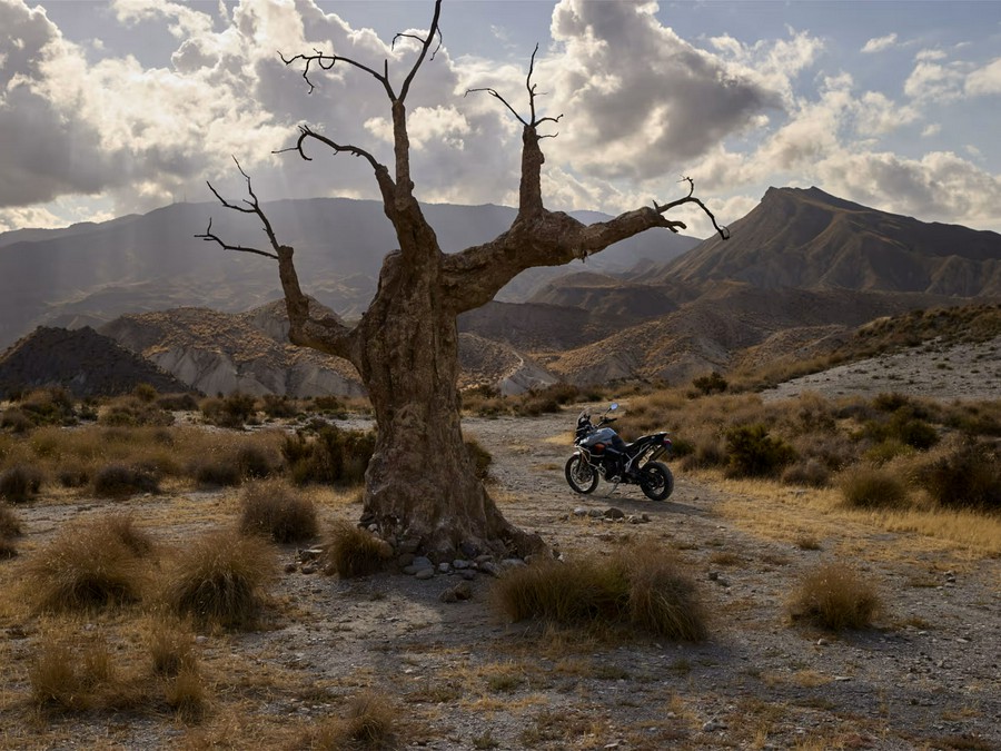 2026 Triumph Tiger 900 Desert Edition