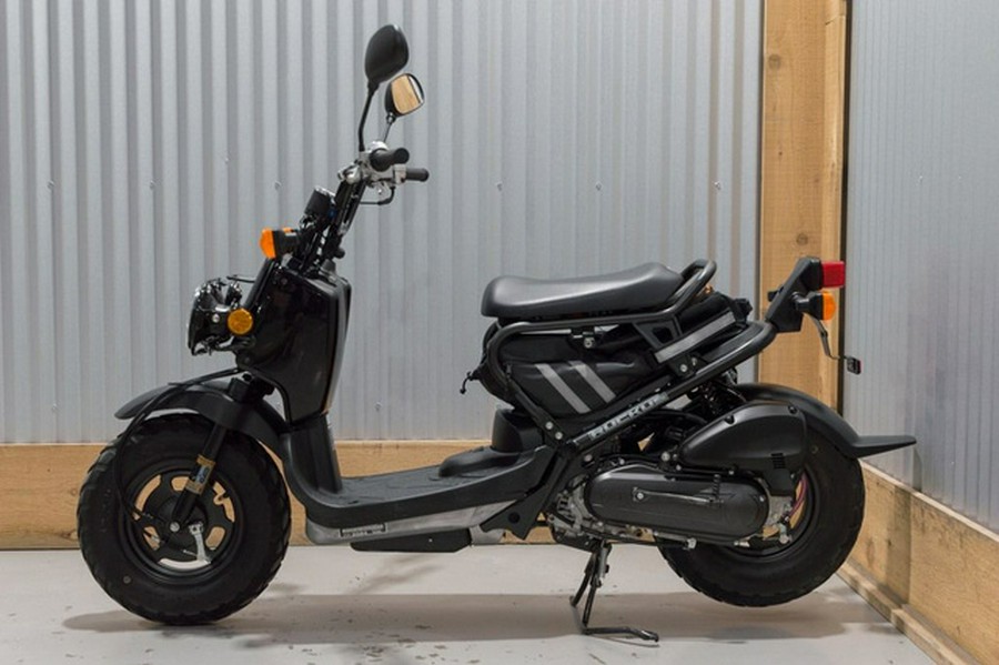2024 Honda Ruckus