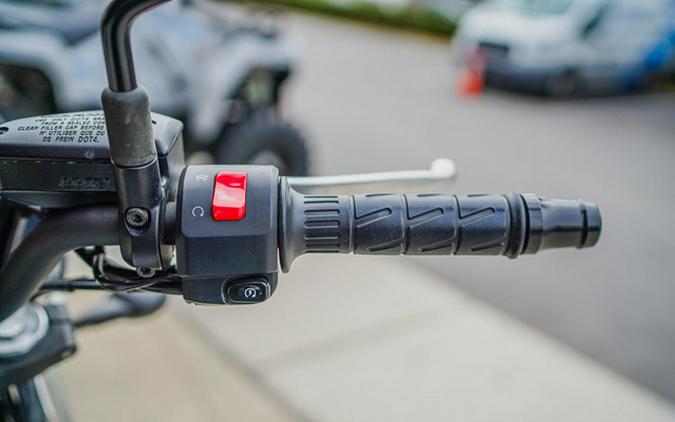 2022 Kawasaki Z650RS 50th Anniversary