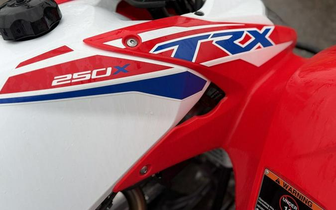 2026 Honda TRX 250X