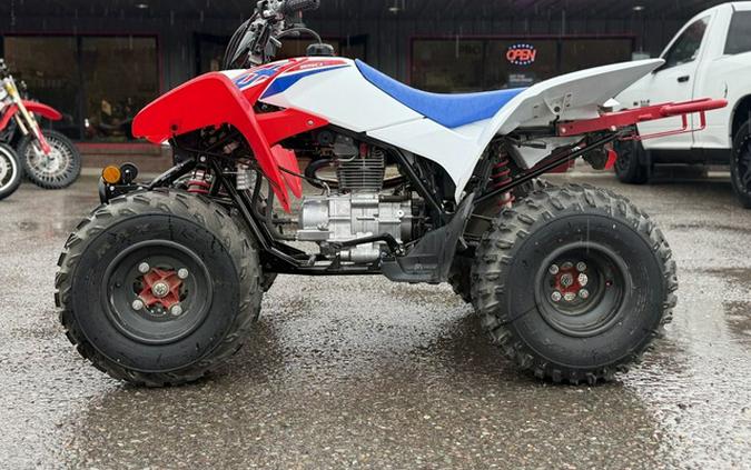 2026 Honda TRX 250X