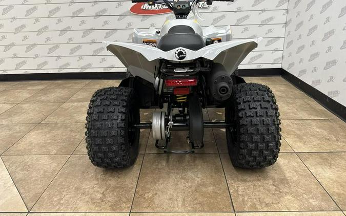 2024 Can-Am® Renegade 70 EFI