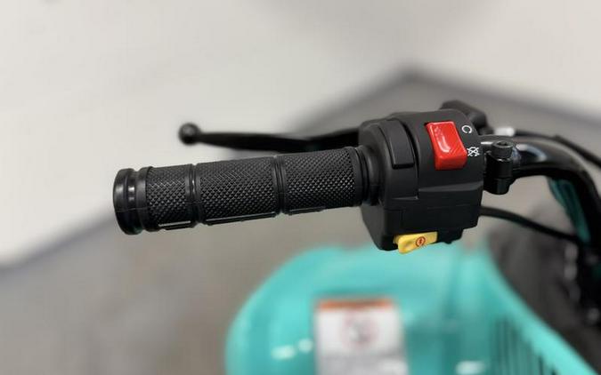 2025 Yamaha Raptor 110