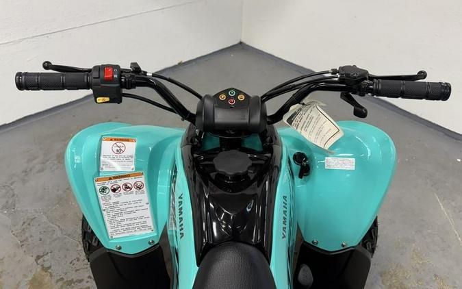 2025 Yamaha Raptor 110