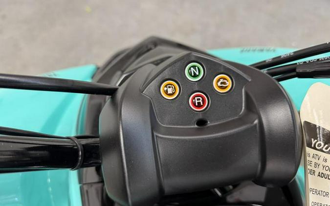 2025 Yamaha Raptor 110