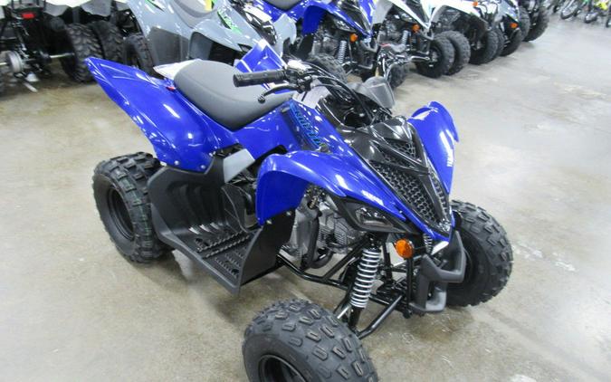 2024 Yamaha Raptor 110