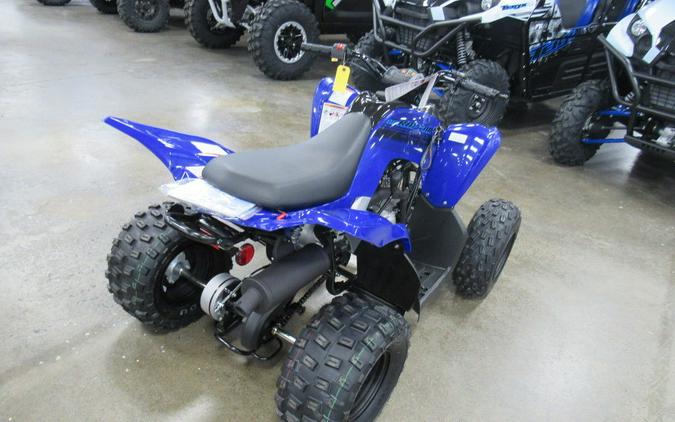 2024 Yamaha Raptor 110