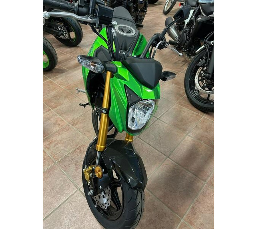 2024 Kawasaki Z125 PRO