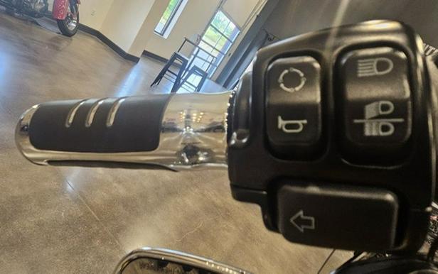 2019 Harley-Davidson Softail FLSL - Softail Slim