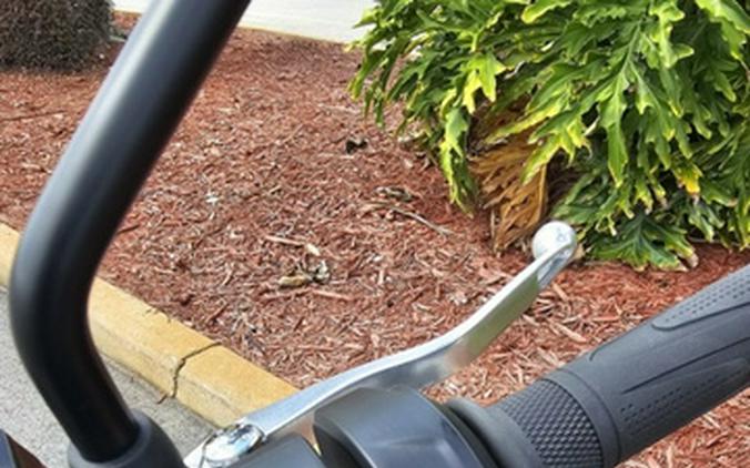 2025 Triumph Trident 660 Cobalt Blue/Sapphire Black 660