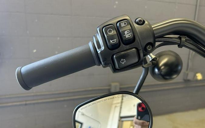 2022 Harley-Davidson® XL883N - Iron 883™