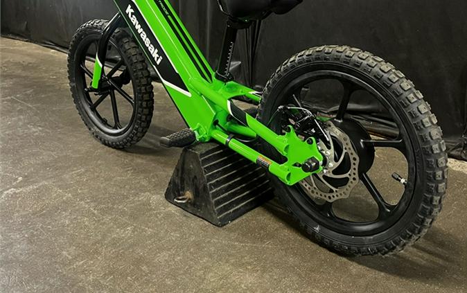 2023 Kawasaki Elektrode