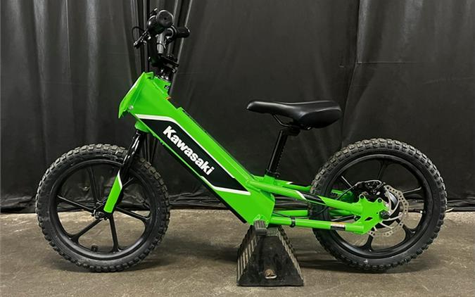 2023 Kawasaki Elektrode