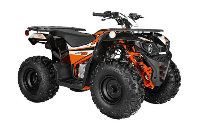 2025 Kayo Bull 125 125 EFI