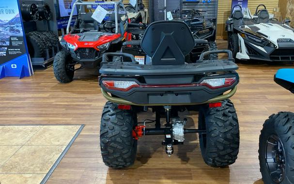 2026 Denago Powersports Freelander 300FI