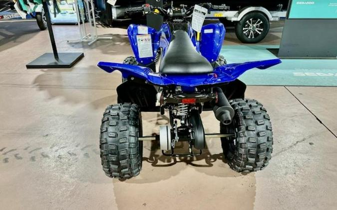 2024 Yamaha Raptor 110