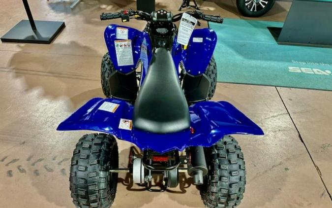 2024 Yamaha Raptor 110