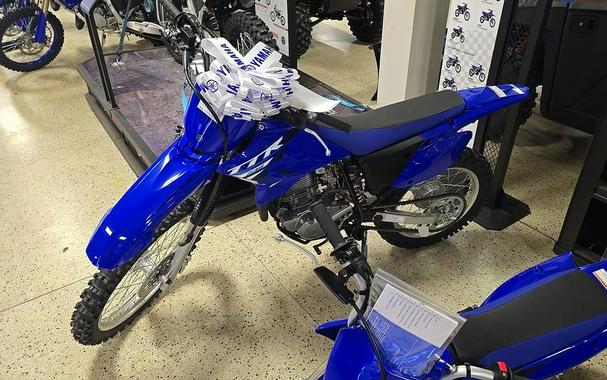 2025 Yamaha TT-R230