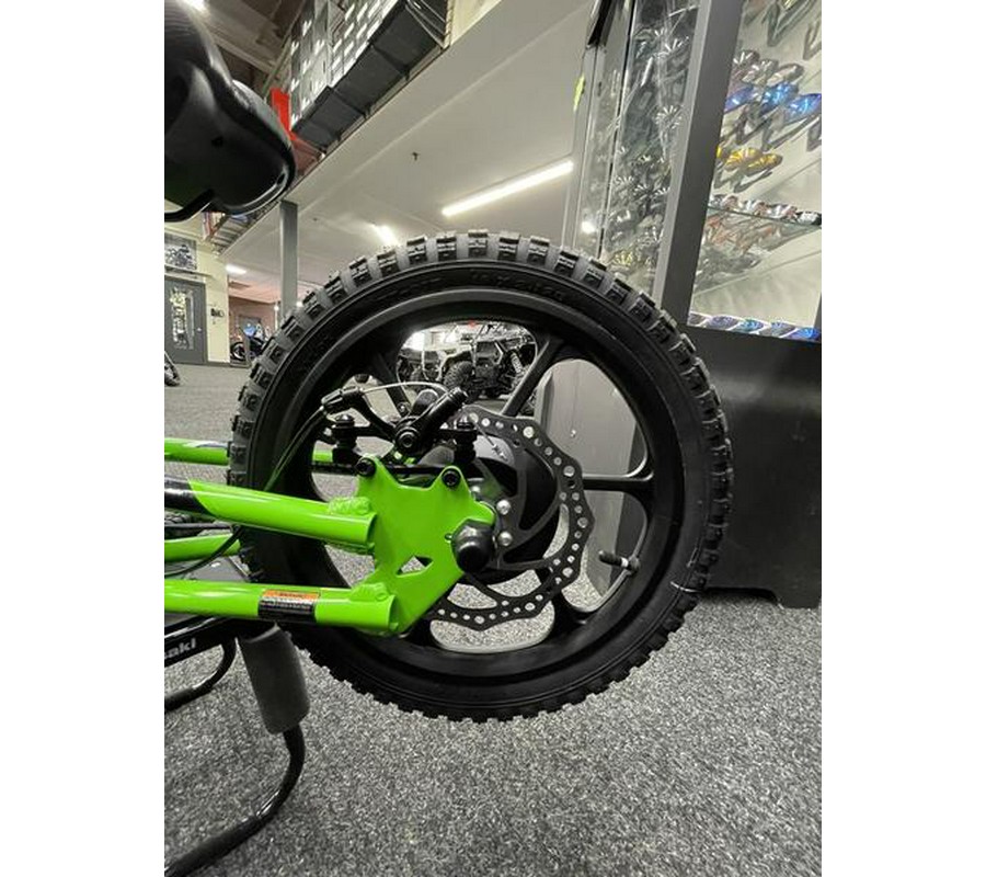 2023 Kawasaki Elektrode™