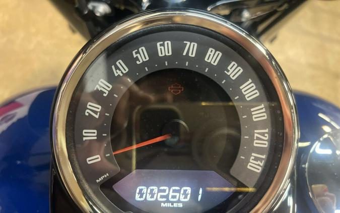 2023 Harley-Davidson Heritage Classic