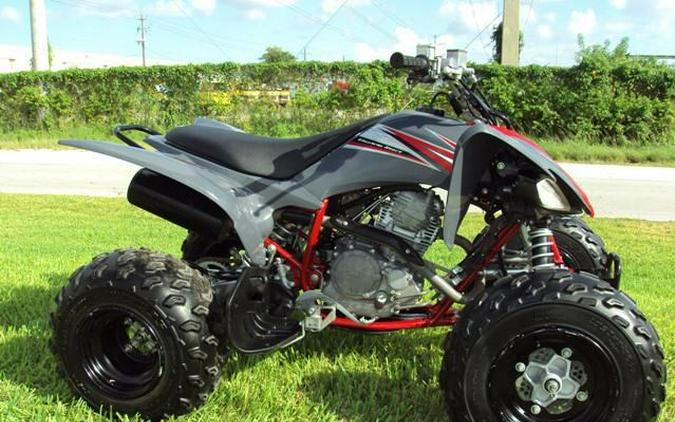 2008 Yamaha Raptor 250cc