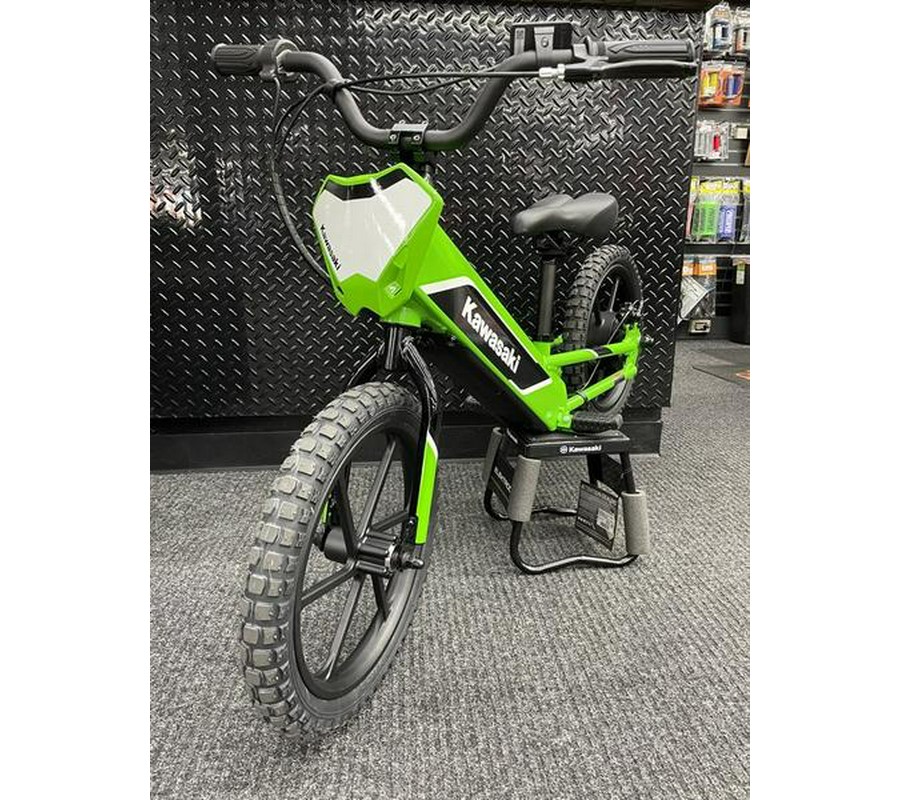 2023 Kawasaki Elektrode™