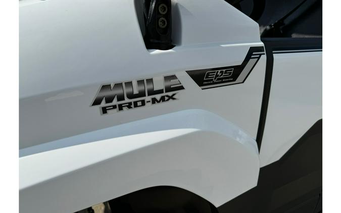 2020 Kawasaki MULE PRO MX EPS