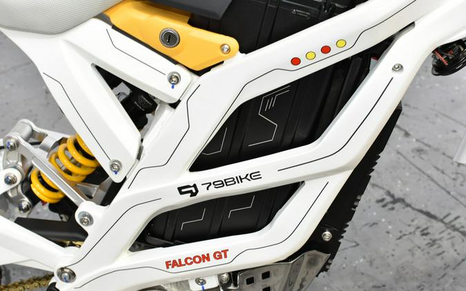 2025 79 FALCON GT - 79 BIKE