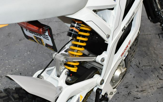 2025 79 FALCON GT - 79 BIKE