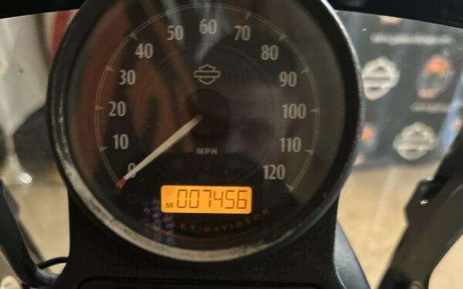 XL 1200NS 2021 Iron 1200™